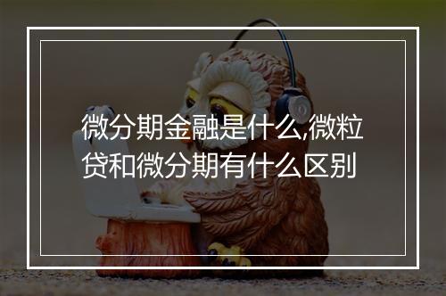 微分期金融是什么,微粒贷和微分期有什么区别