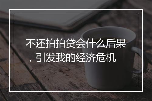 不还拍拍贷会什么后果，引发我的经济危机