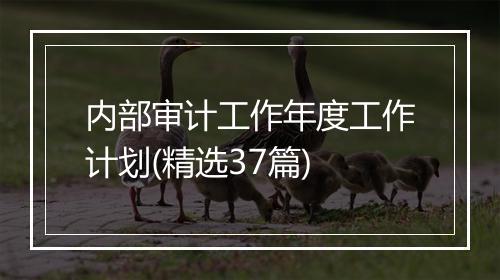 内部审计工作年度工作计划(精选37篇)