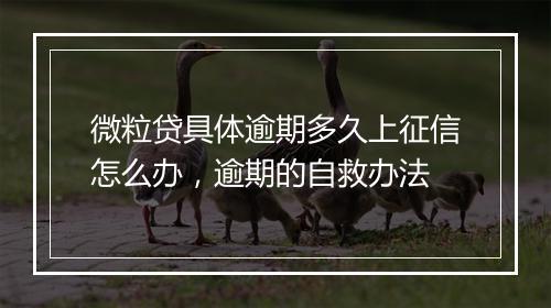 微粒贷具体逾期多久上征信怎么办，逾期的自救办法