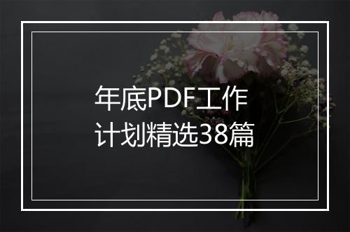 年底PDF工作计划精选38篇