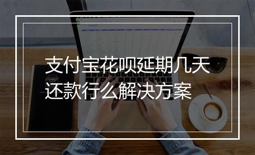 支付宝花呗延期几天还款行么解决方案