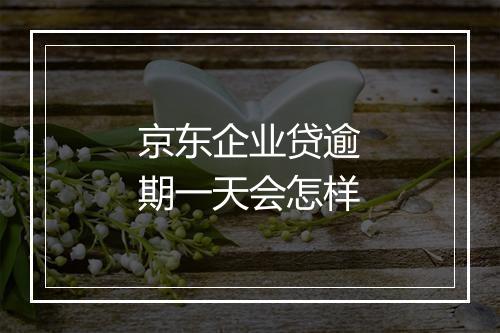 京东企业贷逾期一天会怎样
