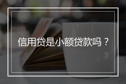 信用贷是小额贷款吗？