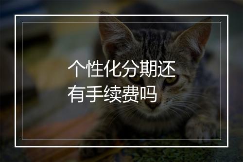 个性化分期还有手续费吗