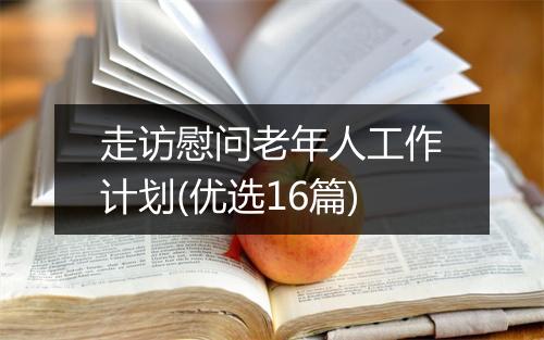 走访慰问老年人工作计划(优选16篇)