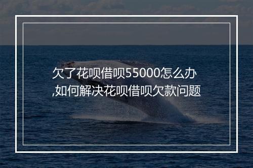 欠了花呗借呗55000怎么办,如何解决花呗借呗欠款问题
