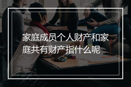 家庭成员个人财产和家庭共有财产指什么呢