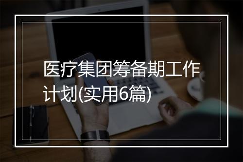 医疗集团筹备期工作计划(实用6篇)