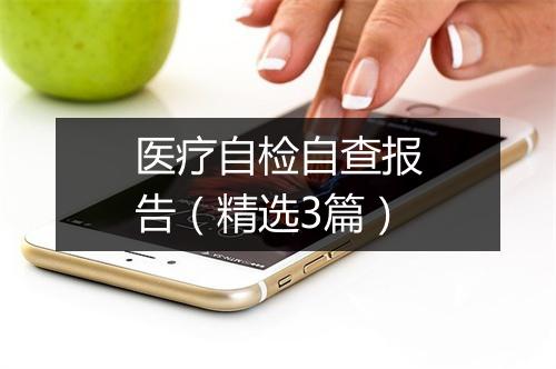 医疗自检自查报告（精选3篇）