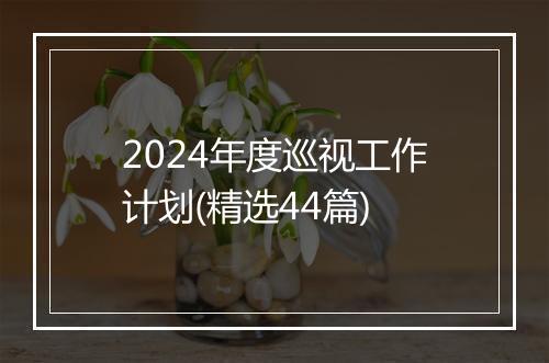 2024年度巡视工作计划(精选44篇)