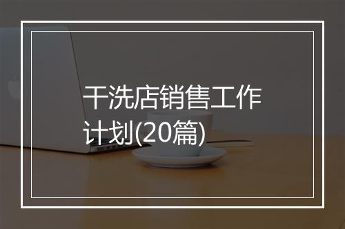 干洗店销售工作计划(20篇)
