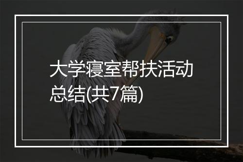 大学寝室帮扶活动总结(共7篇)