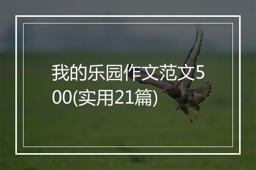 我的乐园作文范文500(实用21篇)