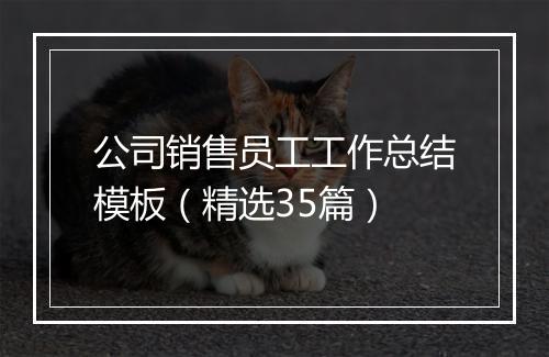 公司销售员工工作总结模板（精选35篇）