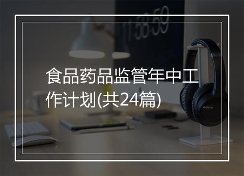 食品药品监管年中工作计划(共24篇)