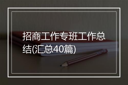 招商工作专班工作总结(汇总40篇)