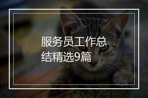 服务员工作总结精选9篇