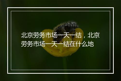 北京劳务市场一天一结，北京劳务市场一天一结在什么地