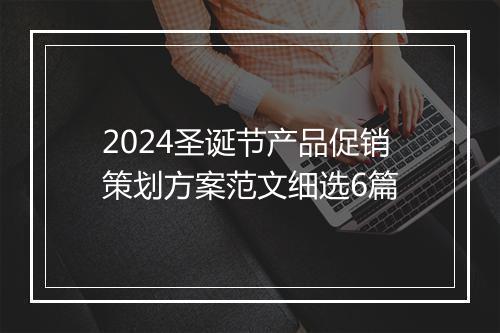 2024圣诞节产品促销策划方案范文细选6篇