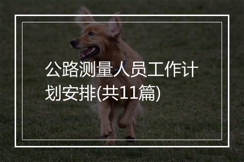 公路测量人员工作计划安排(共11篇)