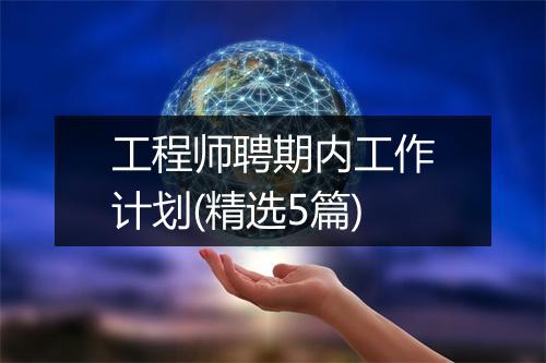 工程师聘期内工作计划(精选5篇)