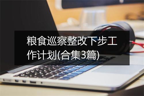粮食巡察整改下步工作计划(合集3篇)