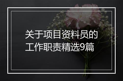 关于项目资料员的工作职责精选9篇