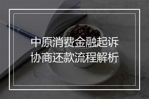 中原消费金融起诉协商还款流程解析