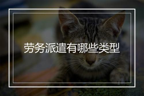 劳务派遣有哪些类型