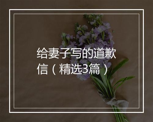 给妻子写的道歉信（精选3篇）