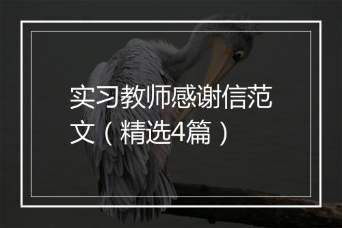 实习教师感谢信范文（精选4篇）