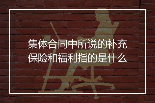 集体合同中所说的补充保险和福利指的是什么