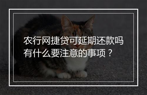 农行网捷贷可延期还款吗有什么要注意的事项？
