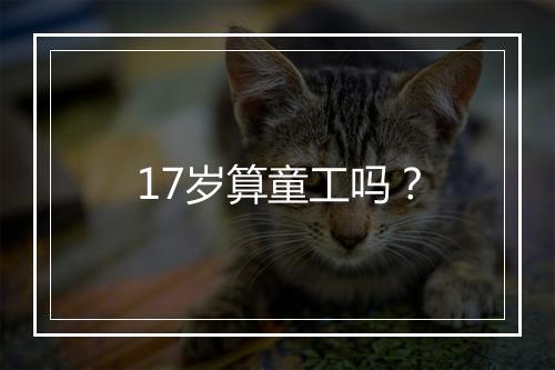 17岁算童工吗？