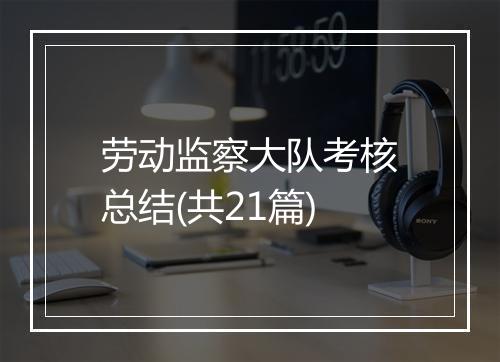劳动监察大队考核总结(共21篇)