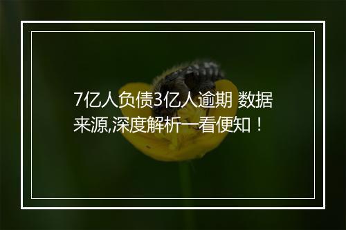 7亿人负债3亿人逾期 数据来源,深度解析一看便知！