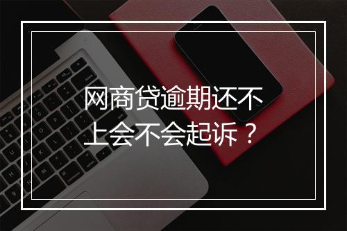 网商贷逾期还不上会不会起诉？