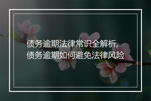 债务逾期法律常识全解析,债务逾期如何避免法律风险