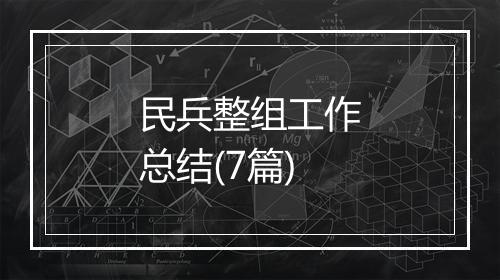 民兵整组工作总结(7篇)