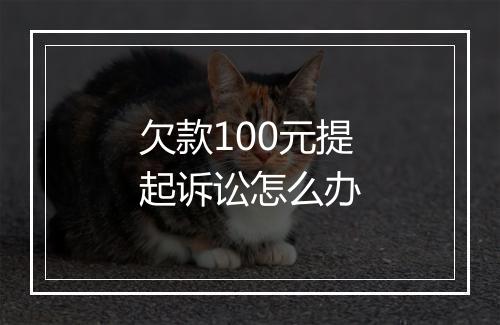 欠款100元提起诉讼怎么办
