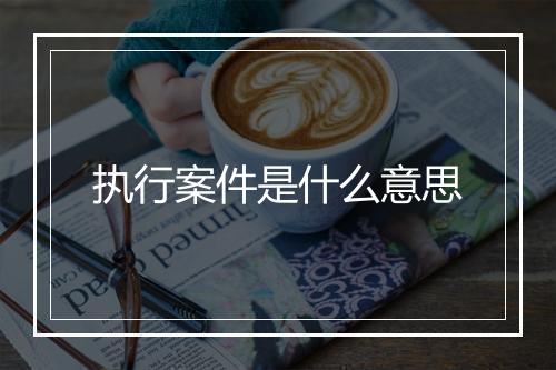 执行案件是什么意思