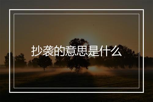 抄袭的意思是什么