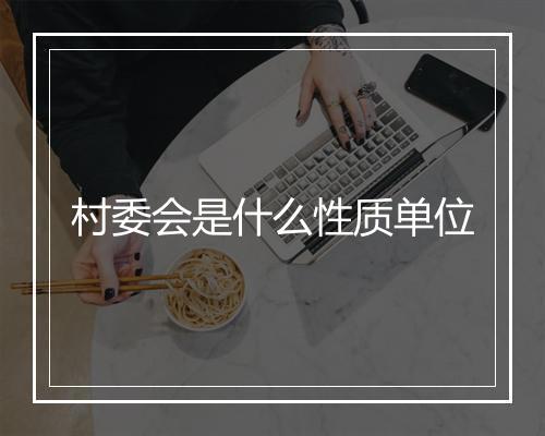 村委会是什么性质单位