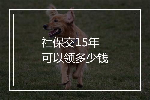 社保交15年可以领多少钱