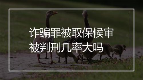 诈骗罪被取保候审被判刑几率大吗