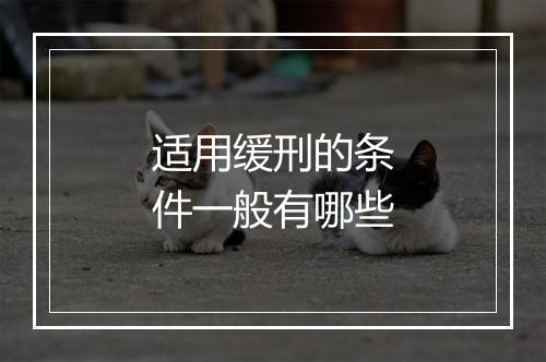 适用缓刑的条件一般有哪些
