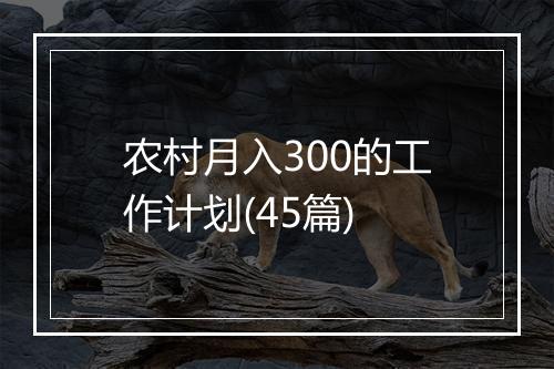 农村月入300的工作计划(45篇)