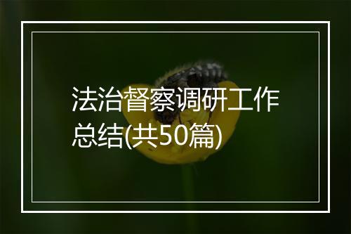 法治督察调研工作总结(共50篇)