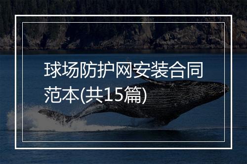 球场防护网安装合同范本(共15篇)